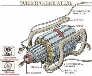 какое назначение у тэд