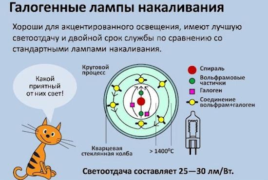 Галогеновые лампы - нюансы выбора