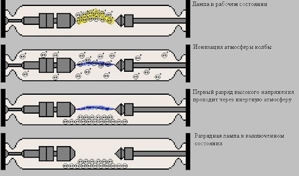 Принцип работы неоновых ламп и рекомендации по выбору