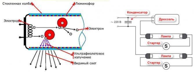 Стартер для люминесцентных ламп - устройство и принцип работы